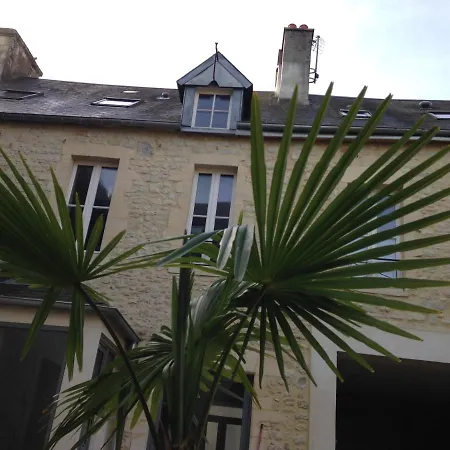 Camelia Centre-ville