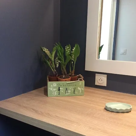 Camelia Centre-ville Chalet