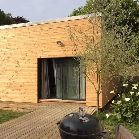 Camelia Centre-ville *