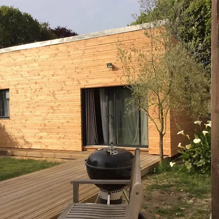 Camelia Centre-ville Bayeux