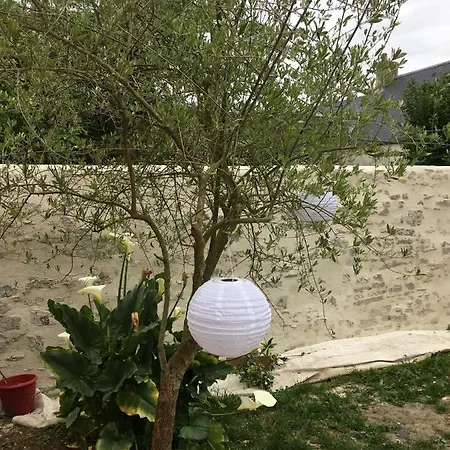 Camelia Centre-ville * Bayeux