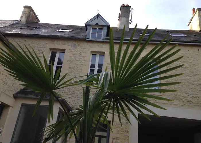 Camelia Centre-ville