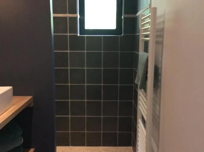 Camelia Centre-ville * بايو