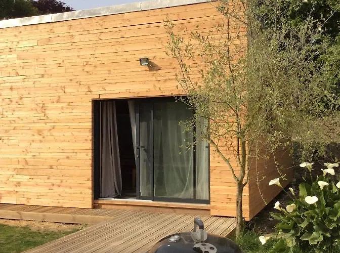 Camelia Centre-ville *