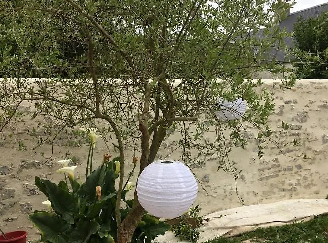 Camelia Centre-ville * بايو