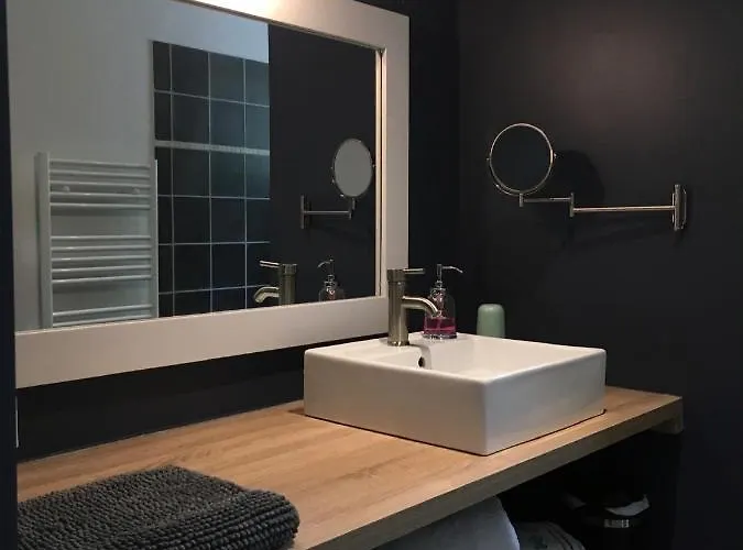 Camelia Centre-ville بايو